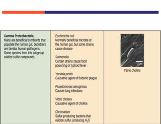 Copyright © 2009 Pearson Education Inc., publishing as Pearson Benjamin Cummings
 