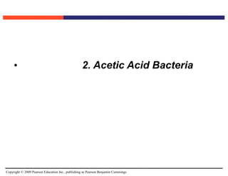 Copyright © 2009 Pearson Education Inc., publishing as Pearson Benjamin Cummings
• 2. Acetic Acid Bacteria
 