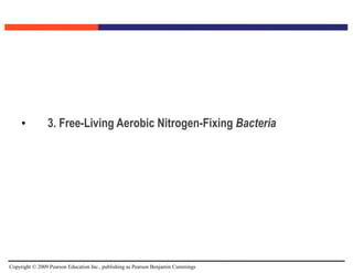 Copyright © 2009 Pearson Education Inc., publishing as Pearson Benjamin Cummings
• 3. Free-Living Aerobic Nitrogen-Fixing Bacteria
 