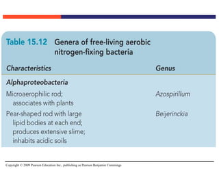 Copyright © 2009 Pearson Education Inc., publishing as Pearson Benjamin Cummings
 