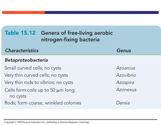 Copyright © 2009 Pearson Education Inc., publishing as Pearson Benjamin Cummings
 