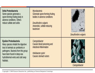 Copyright © 2009 Pearson Education Inc., publishing as Pearson Benjamin Cummings
 
