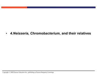 Copyright © 2009 Pearson Education Inc., publishing as Pearson Benjamin Cummings
• 4.Neisseria, Chromobacterium, and their relatives
 