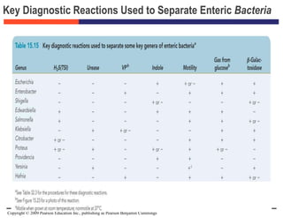Copyright © 2009 Pearson Education Inc., publishing as Pearson Benjamin Cummings
Key Diagnostic Reactions Used to Separate Enteric Bacteria
 