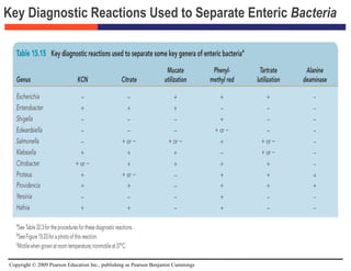 Copyright © 2009 Pearson Education Inc., publishing as Pearson Benjamin Cummings
Key Diagnostic Reactions Used to Separate Enteric Bacteria
 