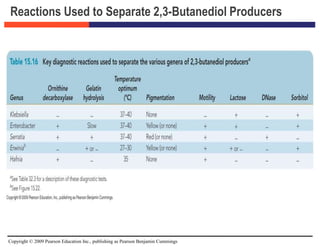 Copyright © 2009 Pearson Education Inc., publishing as Pearson Benjamin Cummings
Reactions Used to Separate 2,3-Butanediol Producers
 