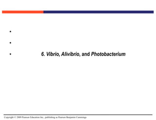 Copyright © 2009 Pearson Education Inc., publishing as Pearson Benjamin Cummings
•
•
• 6. Vibrio, Alivibrio, and Photobacterium
 