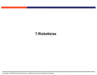 Copyright © 2009 Pearson Education Inc., publishing as Pearson Benjamin Cummings
7.Rickettsias
 