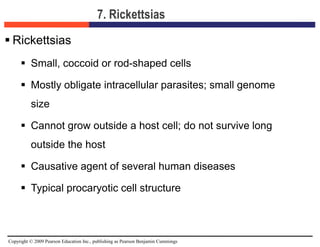 Copyright © 2009 Pearson Education Inc., publishing as Pearson Benjamin Cummings
7. Rickettsias
 Rickettsias
 Small, coccoid or rod-shaped cells
 Mostly obligate intracellular parasites; small genome
size
 Cannot grow outside a host cell; do not survive long
outside the host
 Causative agent of several human diseases
 Typical procaryotic cell structure
 