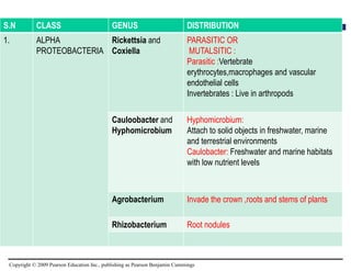 Copyright © 2009 Pearson Education Inc., publishing as Pearson Benjamin Cummings
S.N CLASS GENUS DISTRIBUTION
1. ALPHA
PROTEOBACTERIA
Rickettsia and
Coxiella
PARASITIC OR
MUTALSITIC :
Parasitic :Vertebrate
erythrocytes,macrophages and vascular
endothelial cells
Invertebrates : Live in arthropods
Cauloobacter and
Hyphomicrobium
Hyphomicrobium:
Attach to solid objects in freshwater, marine
and terrestrial environments
Caulobacter: Freshwater and marine habitats
with low nutrient levels
Agrobacterium Invade the crown ,roots and stems of plants
Rhizobacterium Root nodules
 