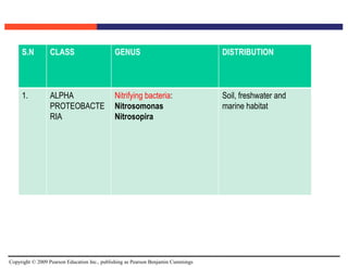 Copyright © 2009 Pearson Education Inc., publishing as Pearson Benjamin Cummings
S.N CLASS GENUS DISTRIBUTION
1. ALPHA
PROTEOBACTE
RIA
Nitrifying bacteria:
Nitrosomonas
Nitrosopira
Soil, freshwater and
marine habitat
 