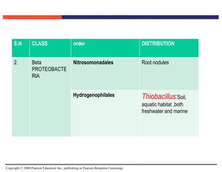 Copyright © 2009 Pearson Education Inc., publishing as Pearson Benjamin Cummings
S.N CLASS order DISTRIBUTION
2. Beta
PROTEOBACTE
RIA
Nitrosomonadales Root nodules
Hydrogenophilales Thiobacillus:Soil,
aquatic habitat ,both
freshwater and marine
 