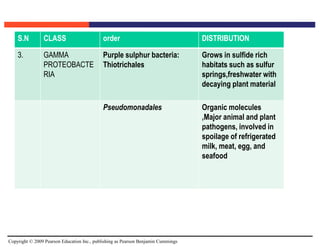 Copyright © 2009 Pearson Education Inc., publishing as Pearson Benjamin Cummings
S.N CLASS order DISTRIBUTION
3. GAMMA
PROTEOBACTE
RIA
Purple sulphur bacteria:
Thiotrichales
Grows in sulfide rich
habitats such as sulfur
springs,freshwater with
decaying plant material
Pseudomonadales Organic molecules
,Major animal and plant
pathogens, involved in
spoilage of refrigerated
milk, meat, egg, and
seafood
 