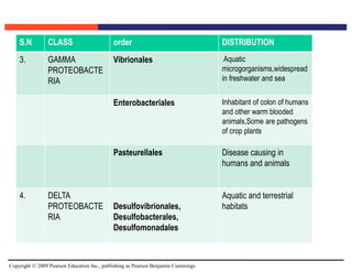 Copyright © 2009 Pearson Education Inc., publishing as Pearson Benjamin Cummings
S.N CLASS order DISTRIBUTION
3. GAMMA
PROTEOBACTE
RIA
Vibrionales Aquatic
microgorganisms,widespread
in freshwater and sea
Enterobacteriales Inhabitant of colon of humans
and other warm blooded
animals,Some are pathogens
of crop plants
Pasteurellales Disease causing in
humans and animals
4. DELTA
PROTEOBACTE
RIA
Desulfovibrionales,
Desulfobacterales,
Desulfomonadales
Aquatic and terrestrial
habitats
 