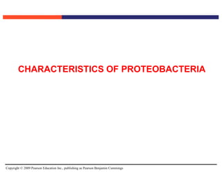 Copyright © 2009 Pearson Education Inc., publishing as Pearson Benjamin Cummings
CHARACTERISTICS OF PROTEOBACTERIA
 