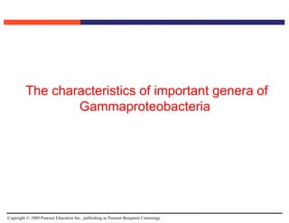 Copyright © 2009 Pearson Education Inc., publishing as Pearson Benjamin Cummings
The characteristics of important genera of
Gammaproteobacteria.
 