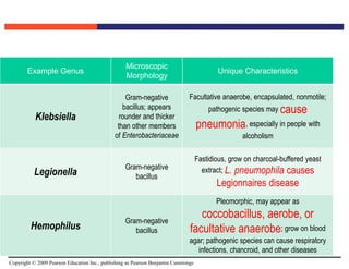Copyright © 2009 Pearson Education Inc., publishing as Pearson Benjamin Cummings
Example Genus
Microscopic
Morphology
Unique Characteristics
Klebsiella
Gram-negative
bacillus; appears
rounder and thicker
than other members
of Enterobacteriaceae
Facultative anaerobe, encapsulated, nonmotile;
pathogenic species may cause
pneumonia, especially in people with
alcoholism
Legionella
Gram-negative
bacillus
Fastidious, grow on charcoal-buffered yeast
extract; L. pneumophila causes
Legionnaires disease
Hemophilus
Gram-negative
bacillus
Pleomorphic, may appear as
coccobacillus, aerobe, or
facultative anaerobe; grow on blood
agar; pathogenic species can cause respiratory
infections, chancroid, and other diseases
 
