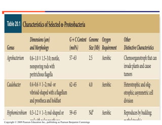 Copyright © 2009 Pearson Education Inc., publishing as Pearson Benjamin Cummings
 