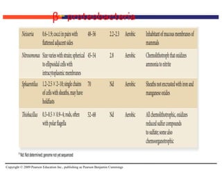 Copyright © 2009 Pearson Education Inc., publishing as Pearson Benjamin Cummings
β- proteobacteria
 