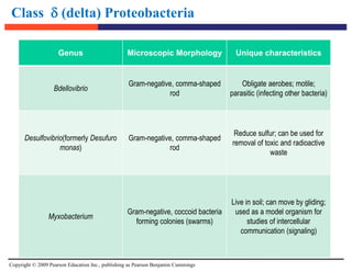 Copyright © 2009 Pearson Education Inc., publishing as Pearson Benjamin Cummings
Class  (delta) Proteobacteria
Genus Microscopic Morphology Unique characteristics
Bdellovibrio
Gram-negative, comma-shaped
rod
Obligate aerobes; motile;
parasitic (infecting other bacteria)
Desulfovibrio(formerly Desufuro
monas)
Gram-negative, comma-shaped
rod
Reduce sulfur; can be used for
removal of toxic and radioactive
waste
Myxobacterium
Gram-negative, coccoid bacteria
forming colonies (swarms)
Live in soil; can move by gliding;
used as a model organism for
studies of intercellular
communication (signaling)
 