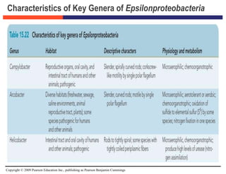 Copyright © 2009 Pearson Education Inc., publishing as Pearson Benjamin Cummings
Characteristics of Key Genera of Epsilonproteobacteria
 