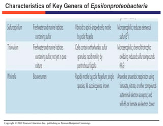 Copyright © 2009 Pearson Education Inc., publishing as Pearson Benjamin Cummings
Characteristics of Key Genera of Epsilonproteobacteria
 