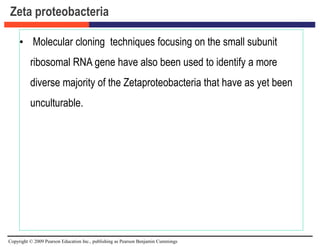 Copyright © 2009 Pearson Education Inc., publishing as Pearson Benjamin Cummings
Zeta proteobacteria
• Molecular cloning techniques focusing on the small subunit
ribosomal RNA gene have also been used to identify a more
diverse majority of the Zetaproteobacteria that have as yet been
unculturable.
 