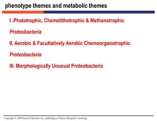 Copyright © 2009 Pearson Education Inc., publishing as Pearson Benjamin Cummings
phenotype themes and metabolic themes
I .Phototrophic, Chemolithotrophic & Methanotrophic
Proteobacteria
II. Aerobic & Facultatively Aerobic Chemoorganotrophic
Proteobacteria
III. Morphologically Unusual Proteobacteria
 