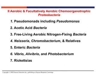 Copyright © 2009 Pearson Education Inc., publishing as Pearson Benjamin Cummings
1. Pseudomonads including Pseudomonas
2. Acetic Acid Bacteria
3. Free-Living Aerobic Nitrogen-Fixing Bacteria
4. Neisseria, Chromobacterium, & Relatives
5. Enteric Bacteria
6. Vibrio, Alivibrio, and Photobacterium
7. Rickettsias
II Aerobic & Facultatively Aerobic Chemoorganotrophic
Proteobacteria
 