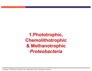 Copyright © 2009 Pearson Education Inc., publishing as Pearson Benjamin Cummings
1.Phototrophic,
Chemolithotrophic
& Methanotrophic
Proteobacteria
 