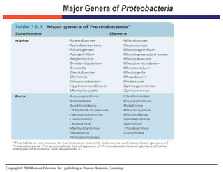 Copyright © 2009 Pearson Education Inc., publishing as Pearson Benjamin Cummings
Major Genera of Proteobacteria
 