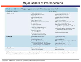 Copyright © 2009 Pearson Education Inc., publishing as Pearson Benjamin Cummings
Major Genera of Proteobacteria
 