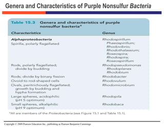 Copyright © 2009 Pearson Education Inc., publishing as Pearson Benjamin Cummings
Genera and Characteristics of Purple Nonsulfur Bacteria
 