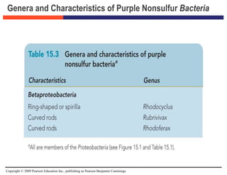 Copyright © 2009 Pearson Education Inc., publishing as Pearson Benjamin Cummings
Genera and Characteristics of Purple Nonsulfur Bacteria
 
