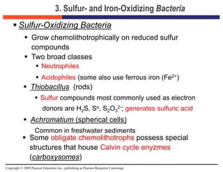 Copyright © 2009 Pearson Education Inc., publishing as Pearson Benjamin Cummings
3. Sulfur- and Iron-Oxidizing Bacteria
 Sulfur-Oxidizing Bacteria
 Grow chemolithotrophically on reduced sulfur
compounds
 Two broad classes
 Neutrophiles
 Acidophiles (some also use ferrous iron (Fe2+)
 Thiobacillus (rods)
 Sulfur compounds most commonly used as electron
donors are H2S, So, S2O3
2-; generates sulfuric acid
 Achromatium (spherical cells)
Common in freshwater sediments
 Some obligate chemolithotrophs possess special
structures that house Calvin cycle enyzmes
(carboxysomes)
 