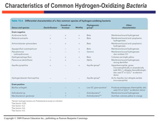 Copyright © 2009 Pearson Education Inc., publishing as Pearson Benjamin Cummings
Characteristics of Common Hydrogen-Oxidizing Bacteria
 