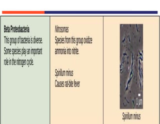 Copyright © 2009 Pearson Education Inc., publishing as Pearson Benjamin Cummings
 