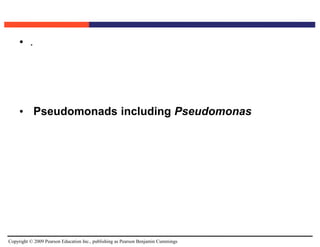 Copyright © 2009 Pearson Education Inc., publishing as Pearson Benjamin Cummings
• .
• Pseudomonads including Pseudomonas
 