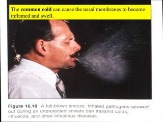 The  common cold  can cause the nasal membranes to become inflamed and swell. 