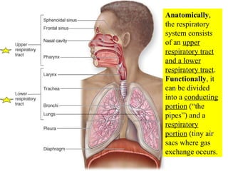 Anatomically , the respiratory system consists of an  upper respiratory tract and a lower respiratory tract .  Functionally , it can be divided into a  conducting portion  (“the pipes”) and a  respiratory portion  (tiny air sacs where gas exchange occurs. 