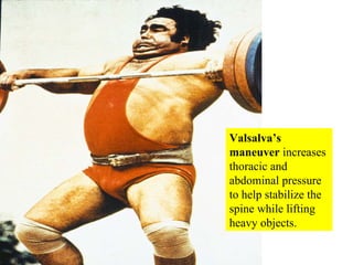 Valsalva’s maneuver  increases thoracic and abdominal pressure to help stabilize the spine while lifting heavy objects. 