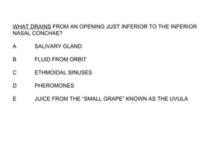 WHAT DRAINS  FROM AN OPENING JUST INFERIOR TO THE INFERIOR NASAL CONCHAE? A SALIVARY GLAND B FLUID FROM ORBIT C ETHMOIDAL SINUSES D PHEROMONES E JUICE FROM THE “SMALL GRAPE” KNOWN AS THE UVULA 