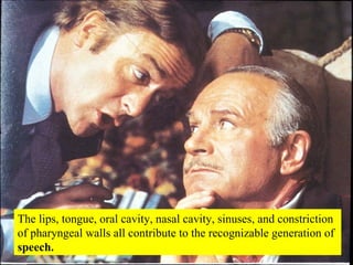The lips, tongue, oral cavity, nasal cavity, sinuses, and constriction of pharyngeal walls all contribute to the recognizable generation of  speech. 