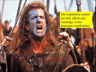 The respiratory system not only allows gas exchange, it also promotes vocalization. 