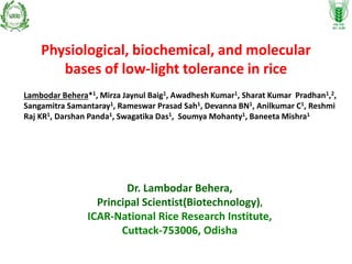 Physiological, biochemical, and molecular
bases of low-light tolerance in rice
Dr. Lambodar Behera,
Principal Scientist(Biotechnology),
ICAR-National Rice Research Institute,
Cuttack-753006, Odisha
Lambodar Behera*1, Mirza Jaynul Baig1, Awadhesh Kumar1, Sharat Kumar Pradhan1,2,
Sangamitra Samantaray1, Rameswar Prasad Sah1, Devanna BN1, Anilkumar C1, Reshmi
Raj KR1, Darshan Panda1, Swagatika Das1, Soumya Mohanty1, Baneeta Mishra1
 