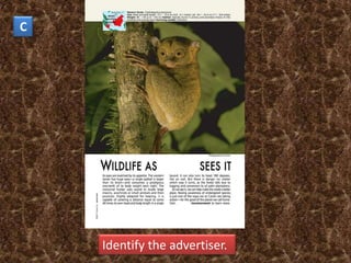 C




    Identify the advertiser.
 