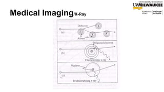 Tissue Engineering introduction for physicists - Lecture two
