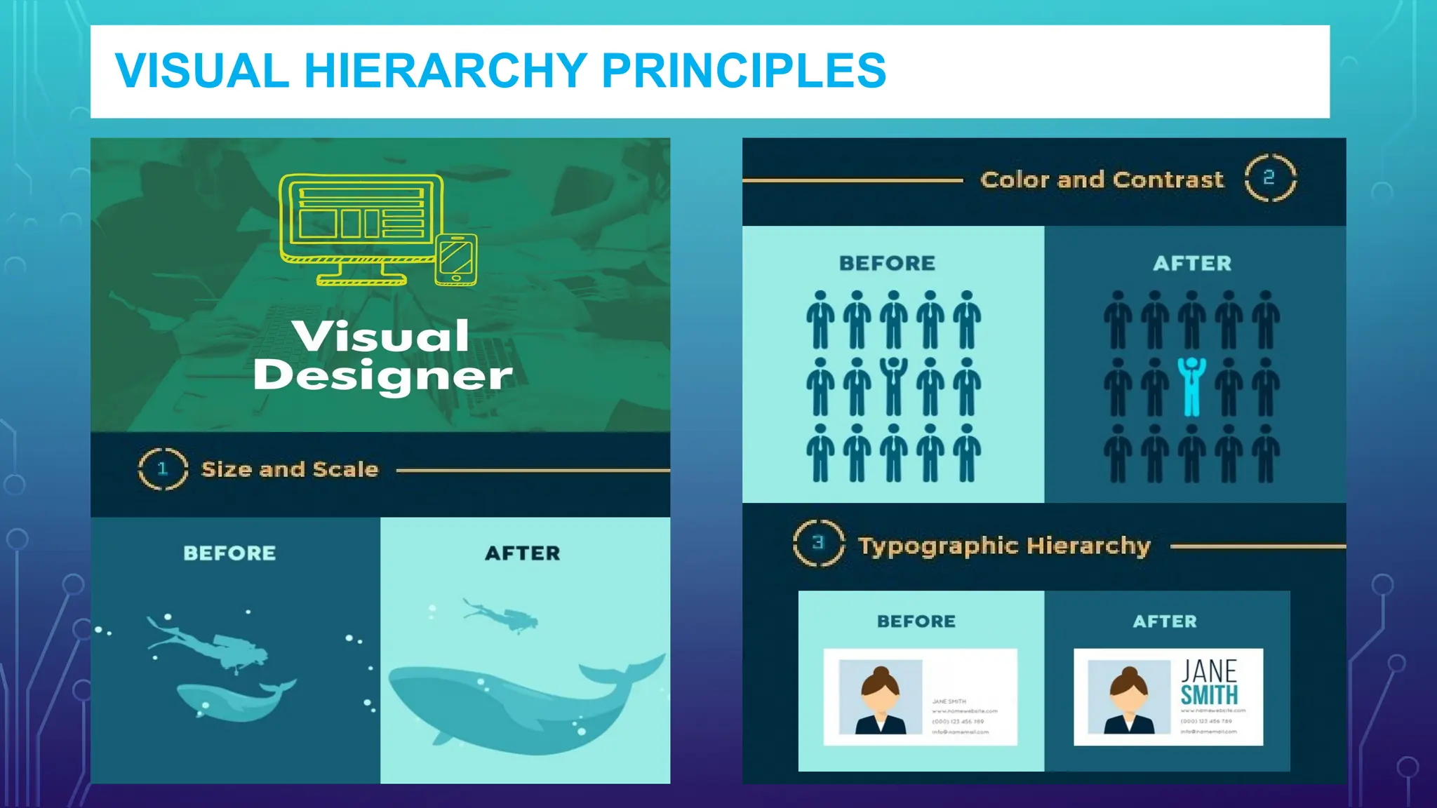 VISUAL HIERARCHY PRINCIPLES
 