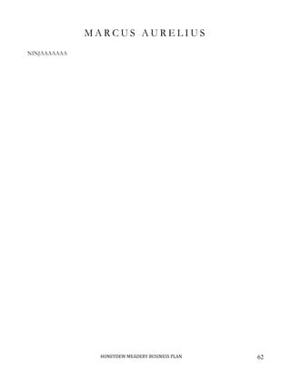 HONEYDEW MEADERY BUSINESS PLAN 62
M A R C U S A U R E L I U S
NINJAAAAAAA
 