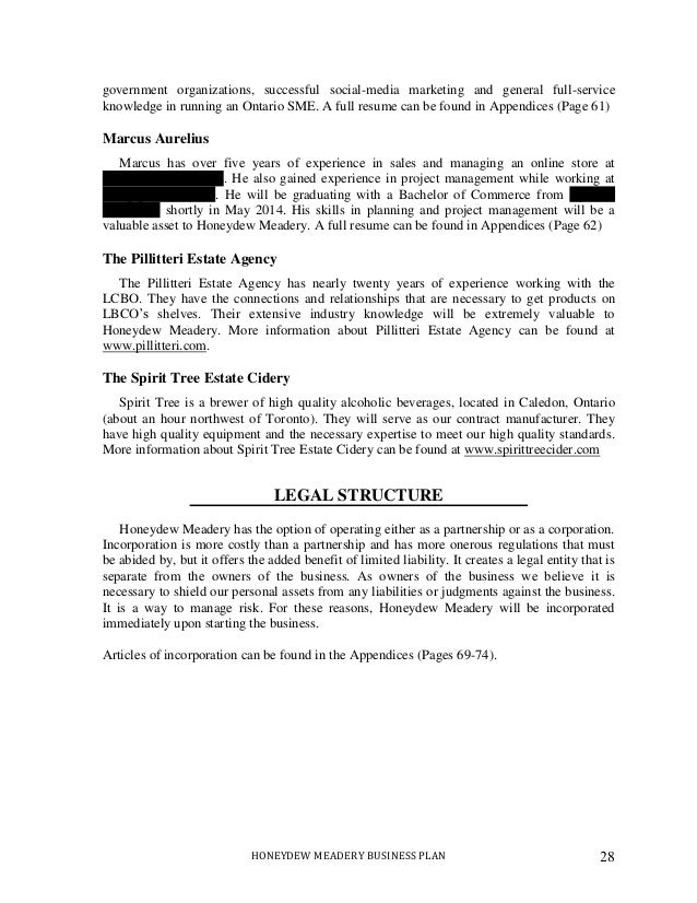 Business Plan Sample Edit for reddit